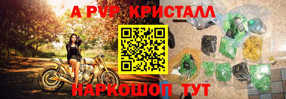 Альфа ПВП СК Котовск