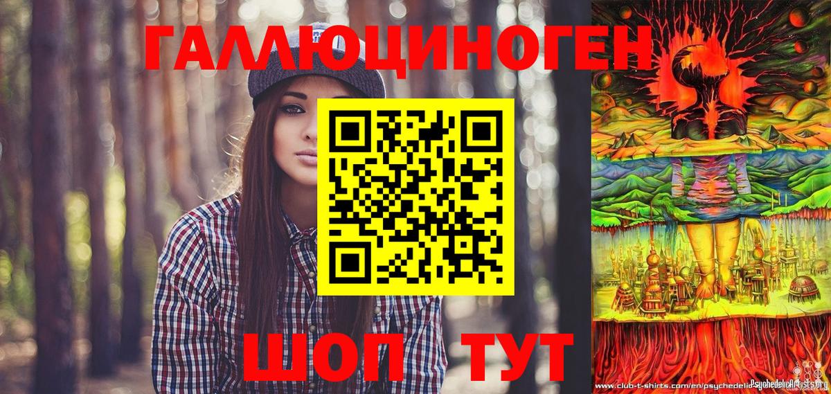 Галлюциногенные грибы Psilocybe Котовск
